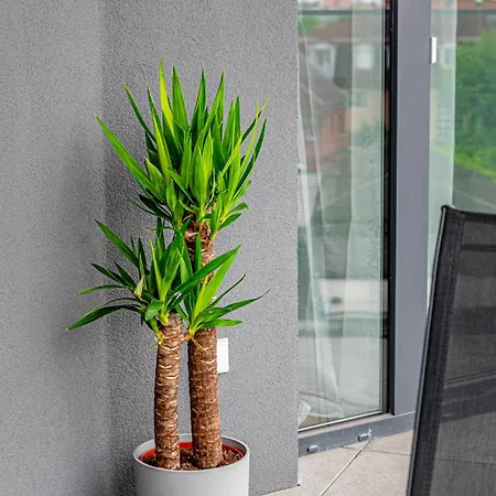 Lägenhet Zenit Sunrise Oasis -garage, Balcony & Smart Tv *