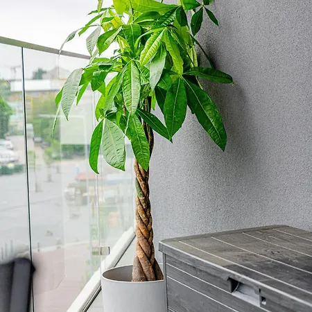 Zenit Sunrise Oasis -garage, Balcony & Smart Tv Budapest