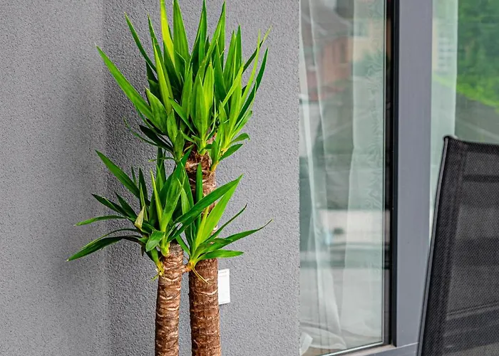 Apartment Zenit Sunrise Oasis -garage, Balcony&smart Tv *