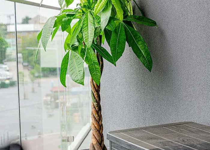 Zenit Sunrise Oasis -garage, Balcony&smart Tv Budapest